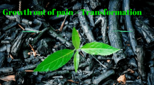 static1.squarespace-2